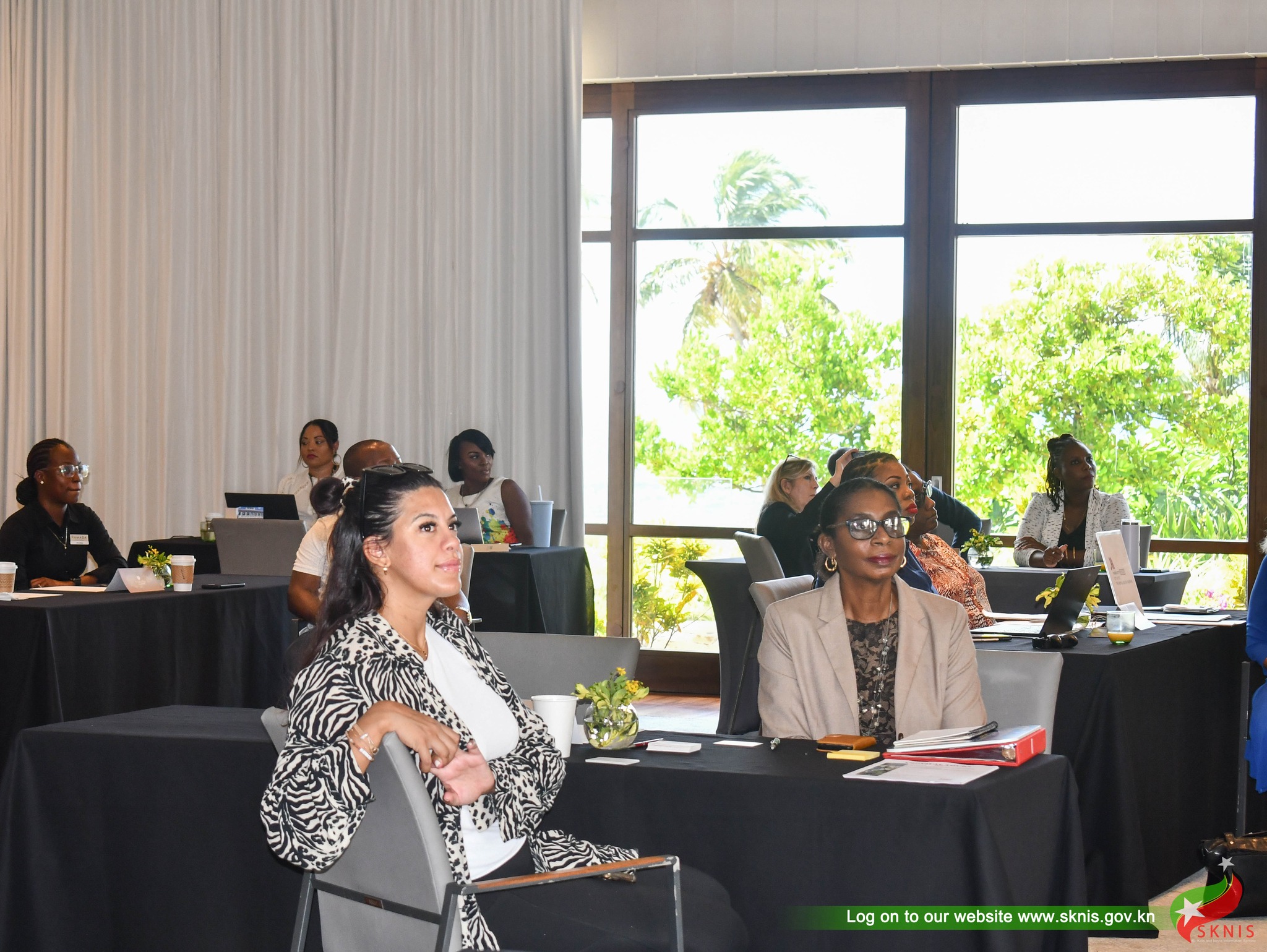 St Kitts Tourism Authority Hosted A Networking Event For Local And   311030854 480231390810429 7196908239429683300 N 